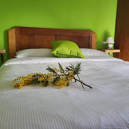Guest house Casa Ramaceto *